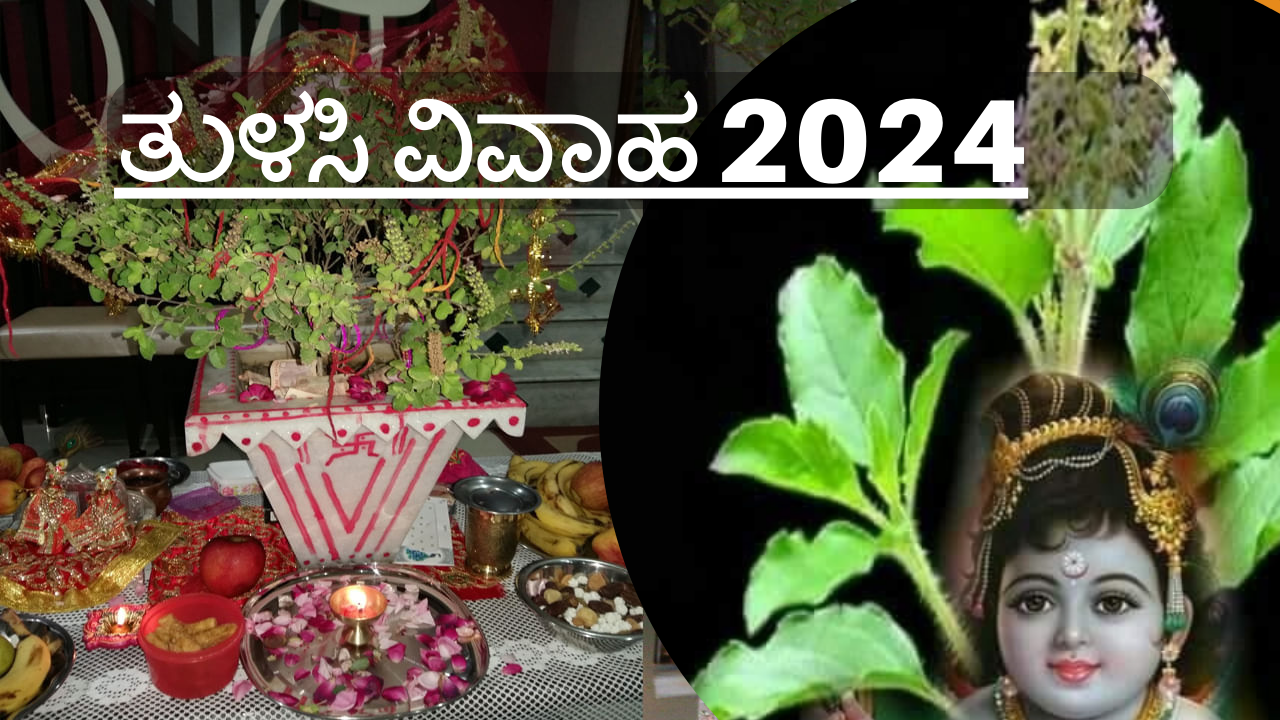 Tulsi vivah 2024 "2024 ತುಳಸಿ ವಿವಾಹ: ಪವಿತ್ರ ಮುಹೂರ್ತ, ಸಂಪ್ರದಾಯಗಳು ಮತ್ತು ಅದರ ಧಾರ್ಮಿಕ ಮಹತ್ವ"